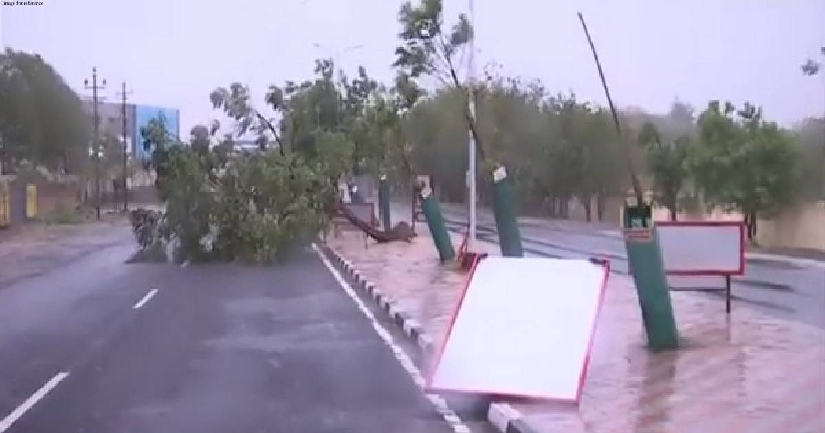 Cyclone Biparjoy aftermath: 1,000 villages in Gujarat without power; trees uprooted, houses damaged